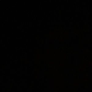 Meet your Posher, Shadae